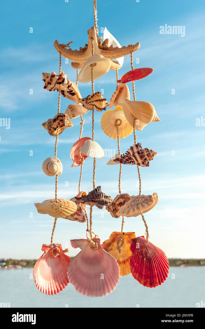 Muscheln in threads Stockfoto