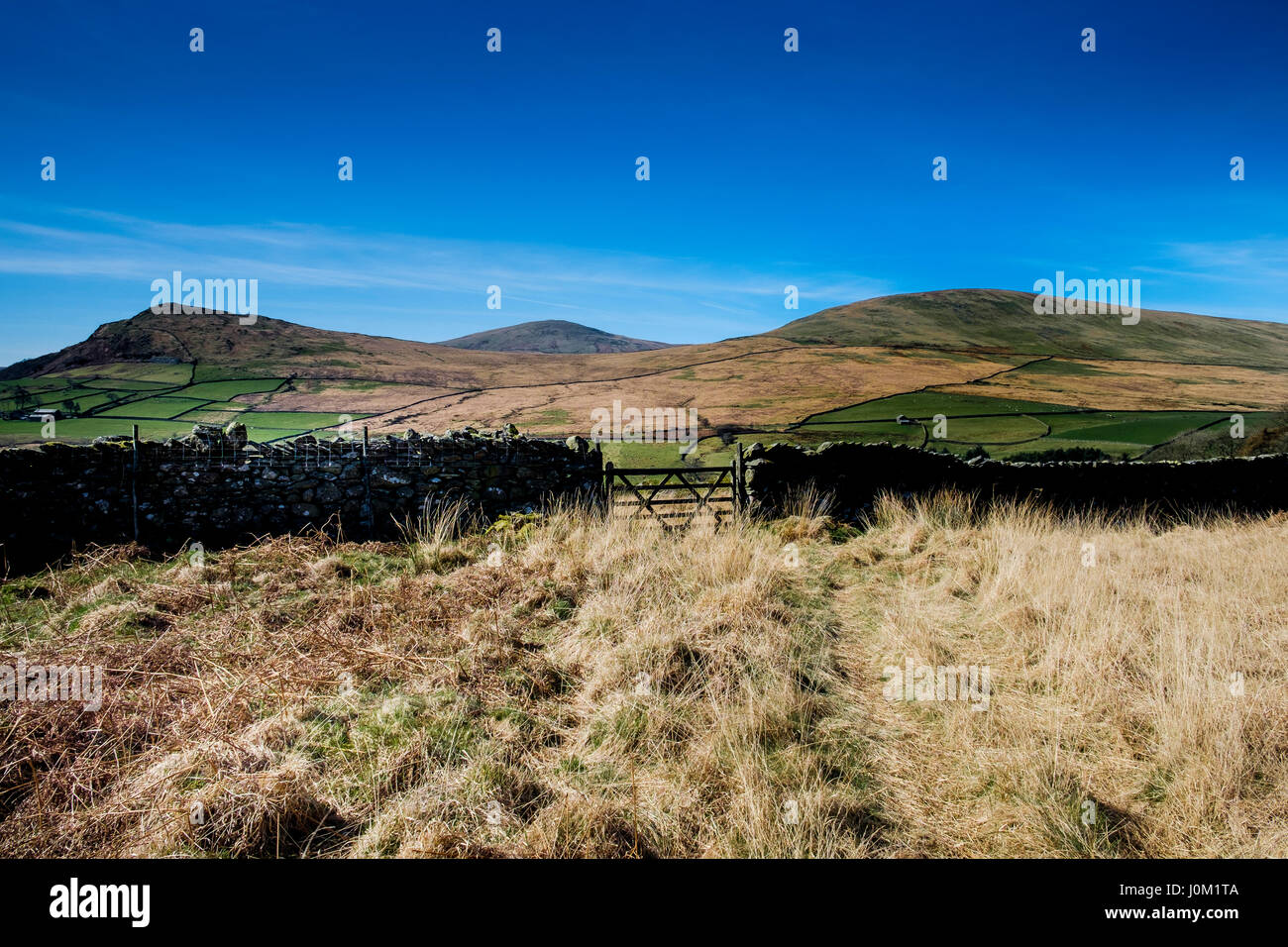Blick auf The Pike und Hesk fiel, Offshore-Valley, Lake District, England Stockfoto