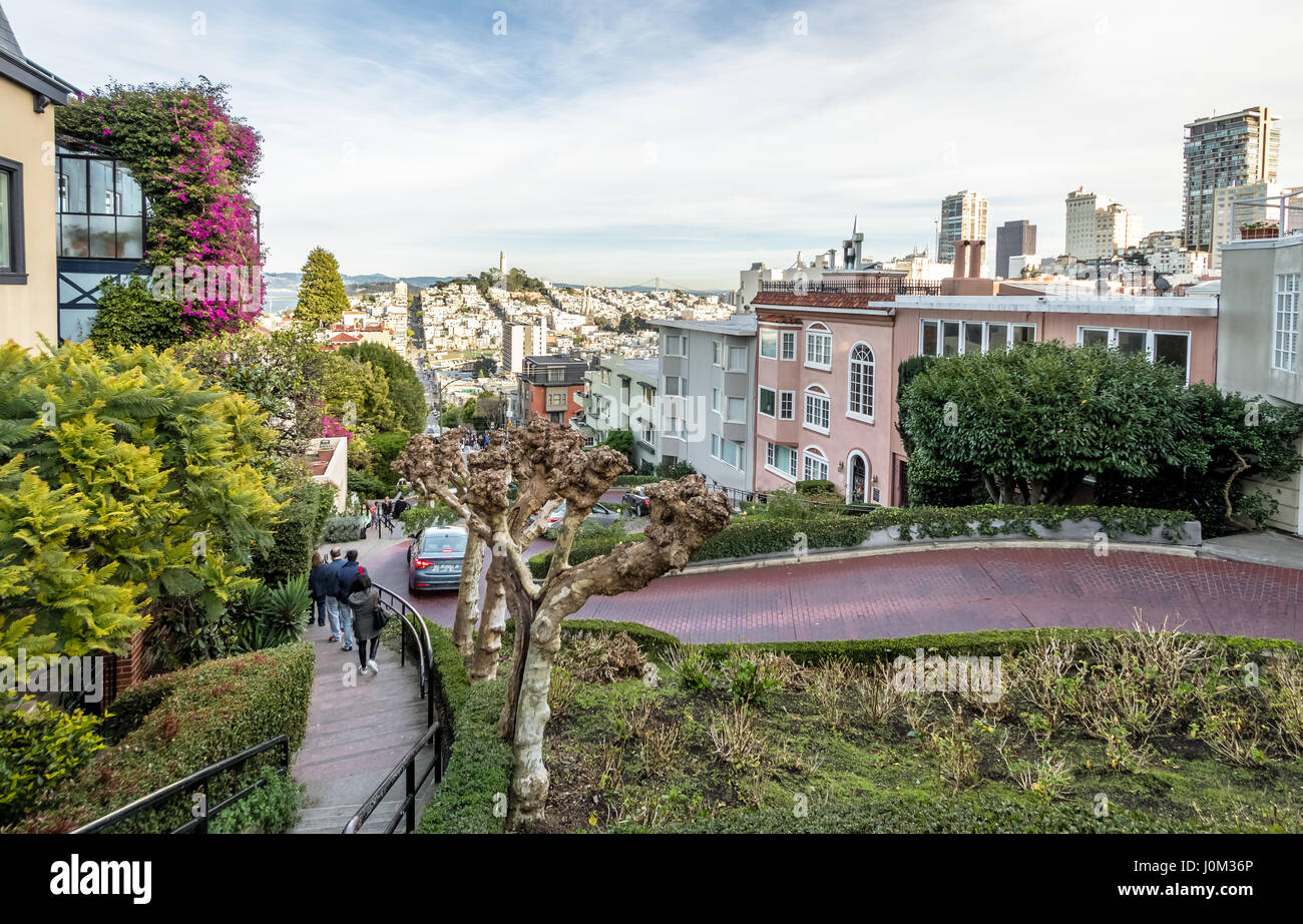 Lombard Street, San Francisco, Kalifornien, USA Stockfoto