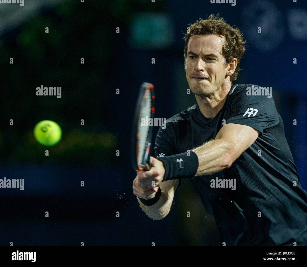 ANDY MURRAY (GBR) in Aktion Stockfoto