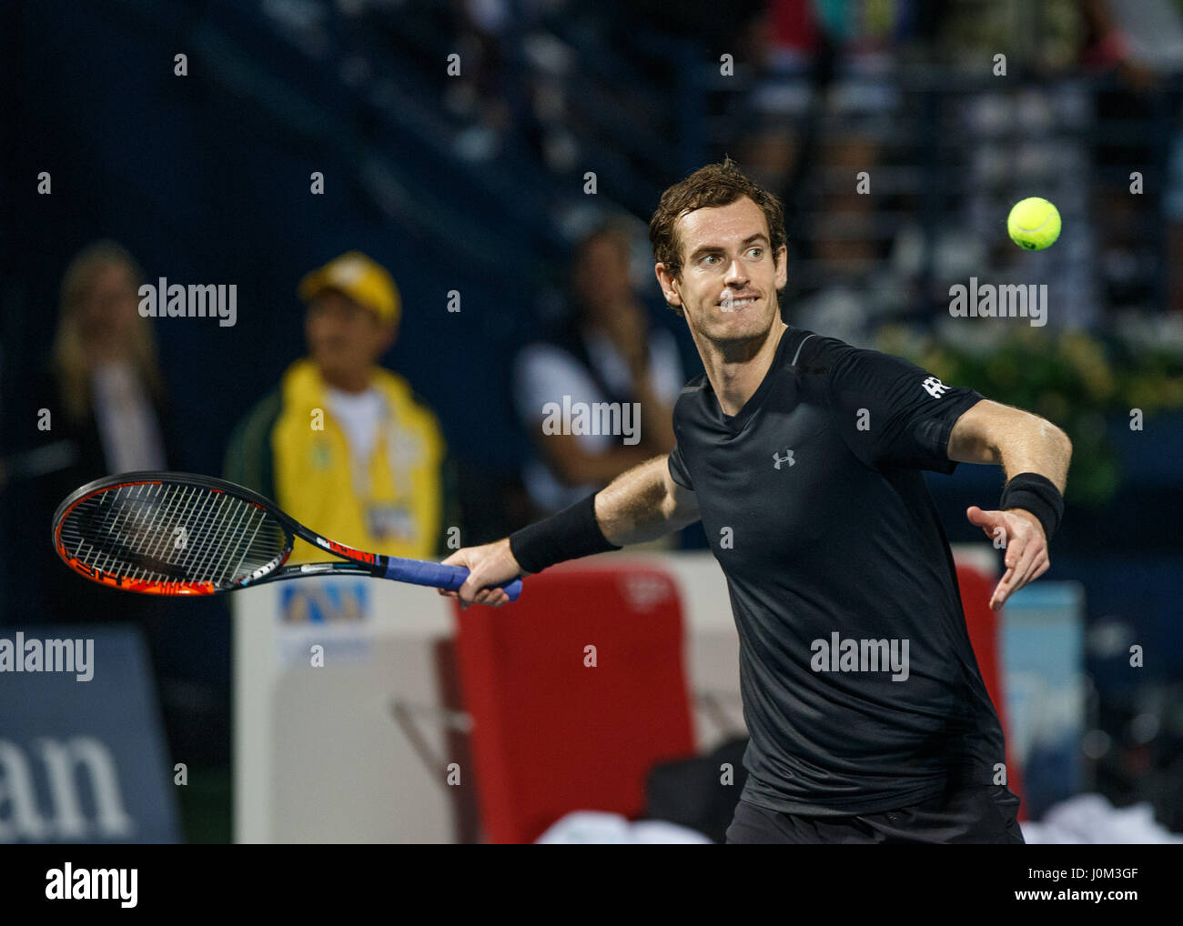ANDY MURRAY (GBR) feiern Stockfoto