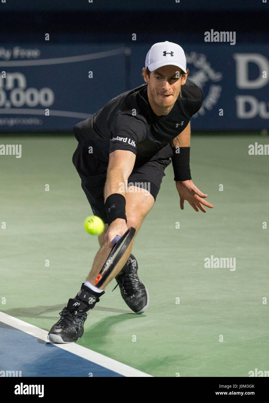 ANDY MURRAY (GBR) in Aktion Stockfoto