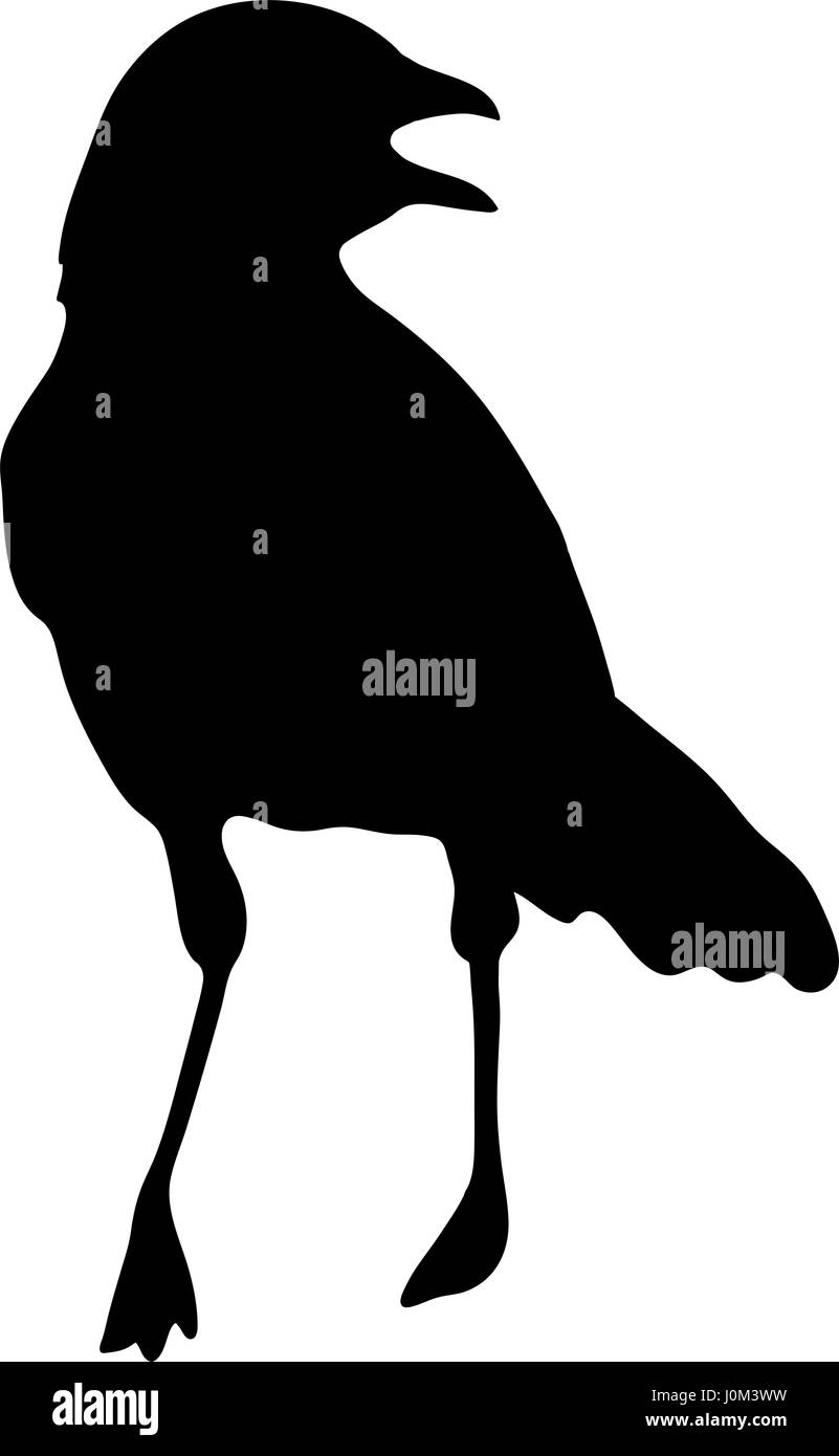 Silhouette einer crimson breasted Würger Stock Vektor