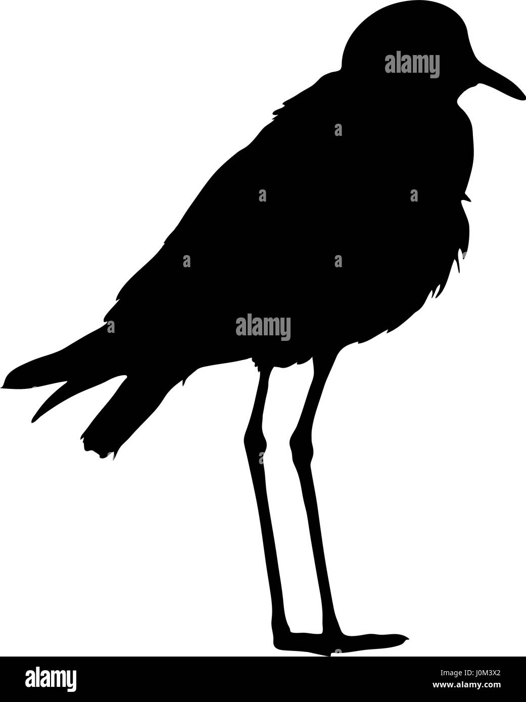 Silhouette von einem Schmied Kiebitz am Boden Stock Vektor