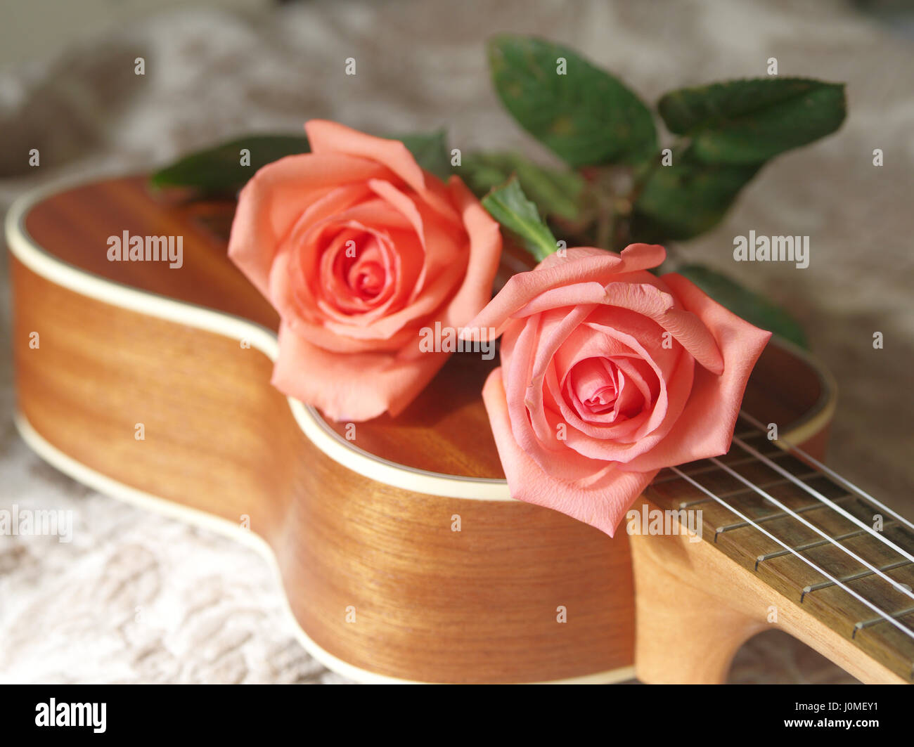 Stieg auf Ukulele, Liebe, Valentinstag-Konzept. Stockfoto