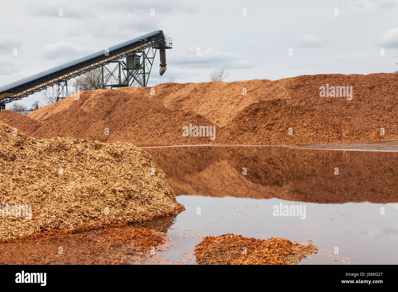 Stapel von verarbeitetem Holz Chips bereit zum Laden Stockfoto