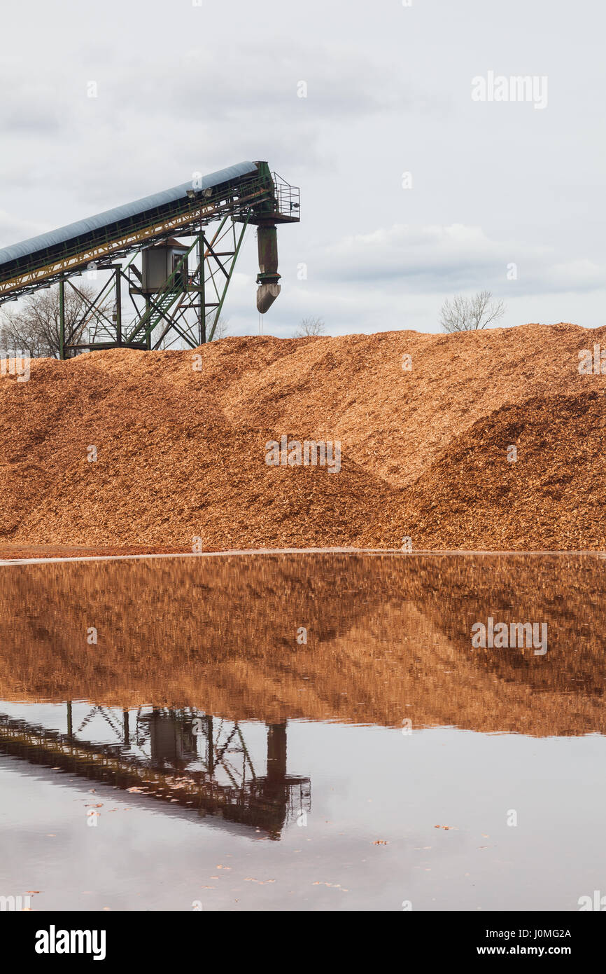 Stapel von verarbeitetem Holz Chips bereit zum Laden Stockfoto