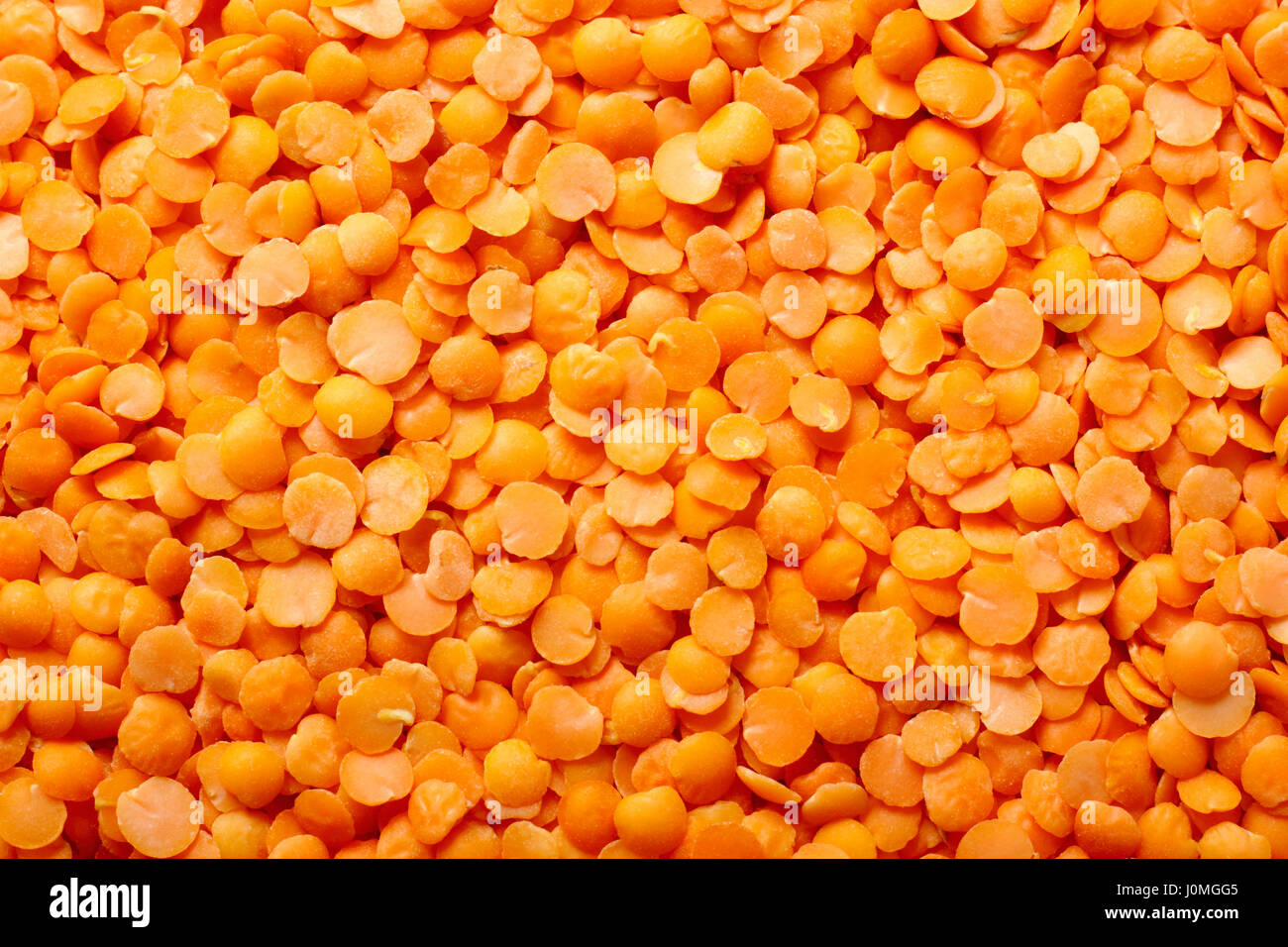 Rote Linsen (Lens Culinaris) close-up. Full-Frame, Ansicht von oben. Stockfoto