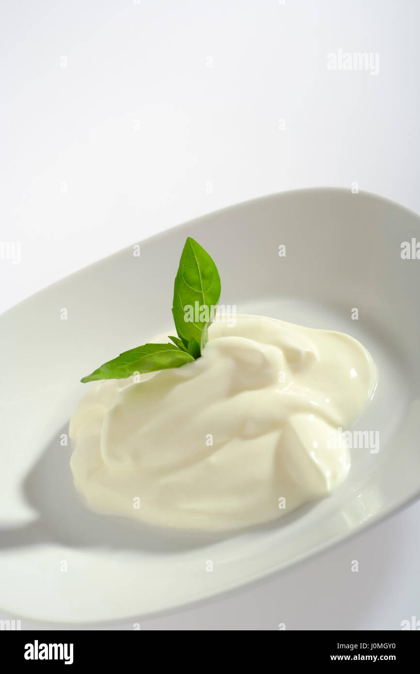 Portion Creme Fraiche auf Platte dekoriert mit Basilikum Blätter. Seitliche Sicht auf hellen Hintergrund mit textfreiraum an Oberseite des Rahmens. Stockfoto