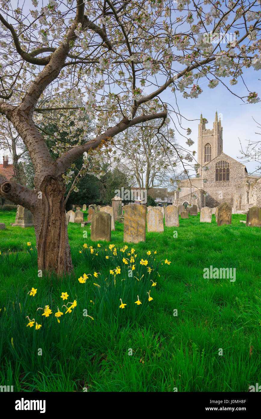 Frühling UK England, Blick im Frühling auf den Kirchhof der St. Mary's Church in Bungay, Suffolk, England, UK Stockfoto