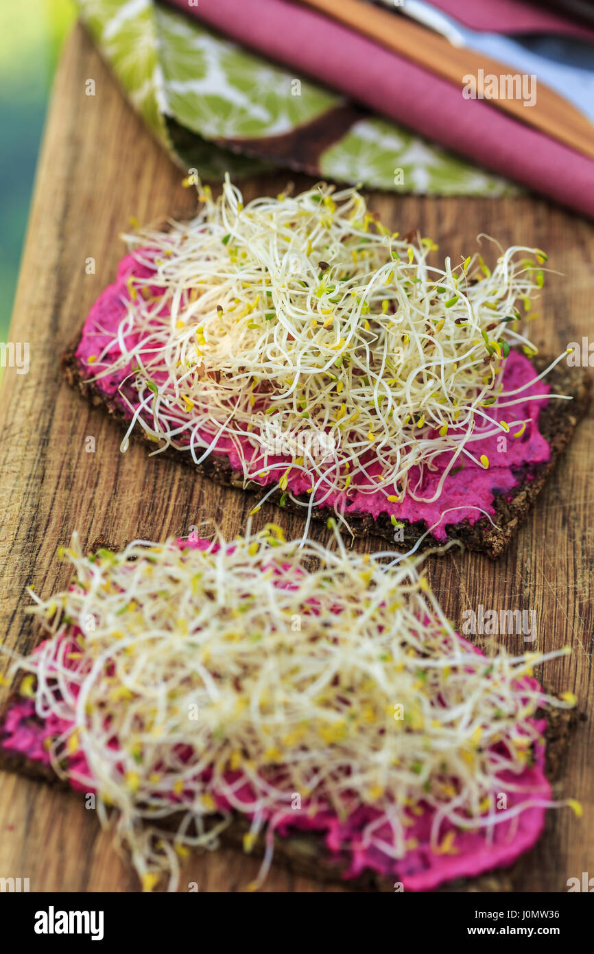 Roggenbrot mit Sprossen und rote-Bete-Creme Stockfotografie - Alamy