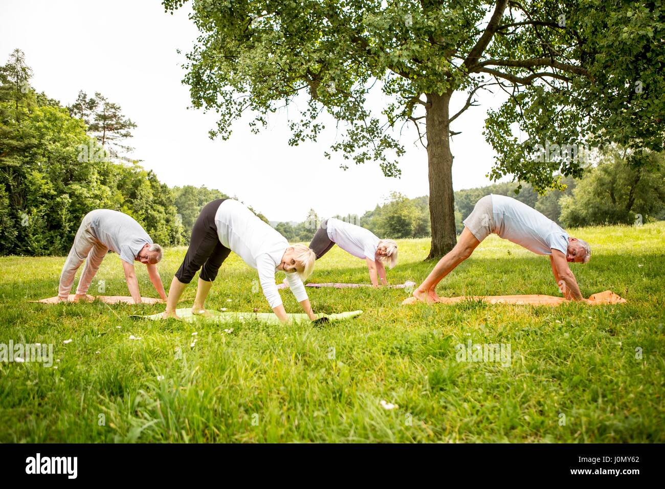 Vier Menschen, die Yoga in das Feld ein. Stockfoto