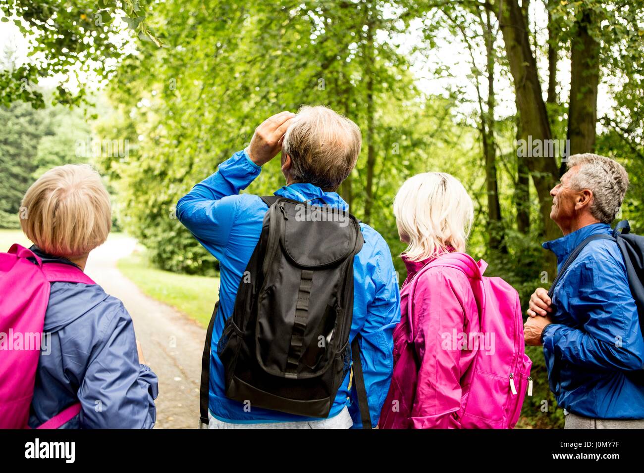 Vier Menschen auf der Wanderung. Stockfoto
