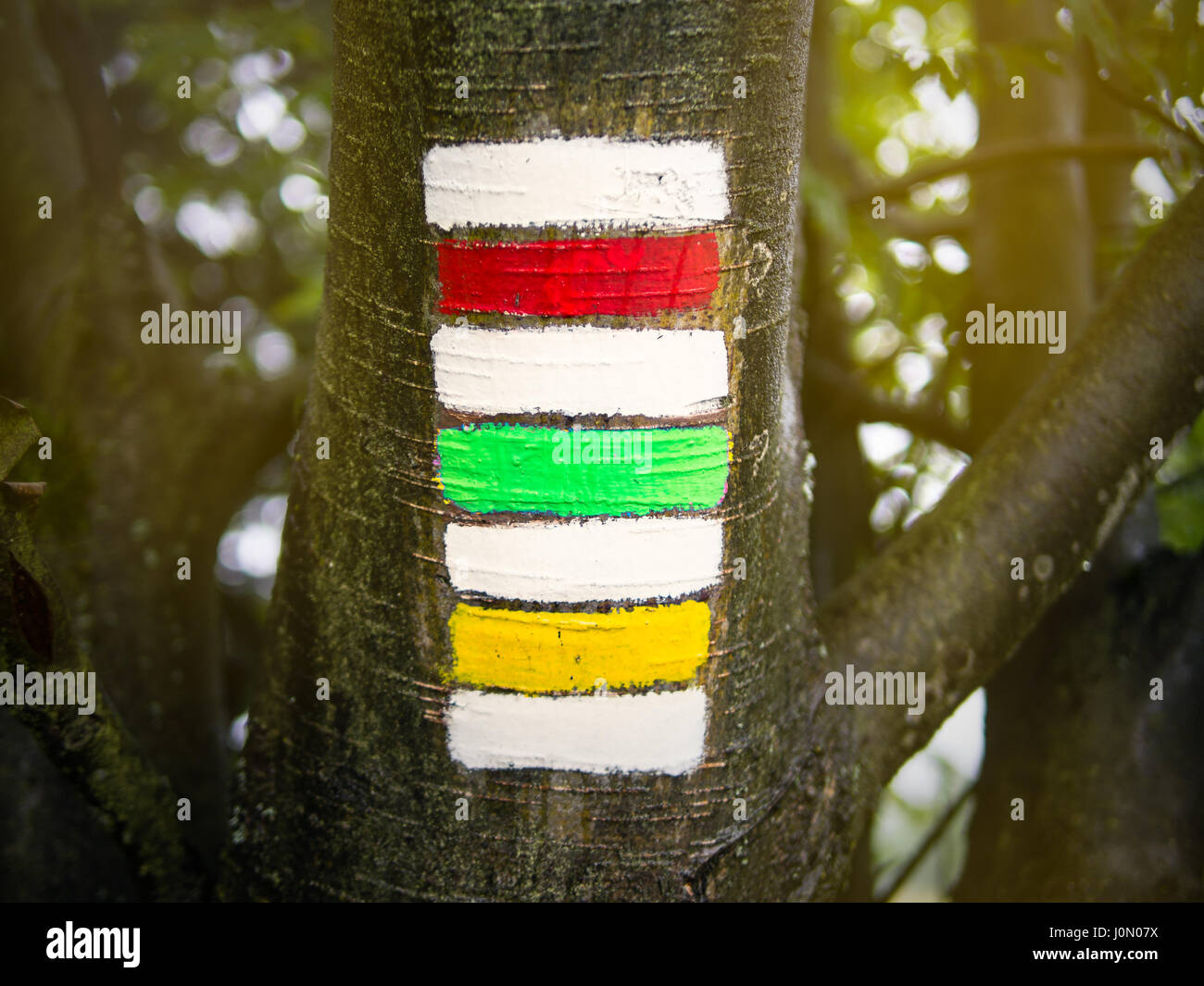 Dreifache Wandern Zeichen auf den Baumstamm, rot, grün und gelb mit unscharfen Bokeh Hintergrund, ungewöhnliche tschechischen Tourismus Symbol, Sommer, Urlaub, Wandern kopieren Stockfoto