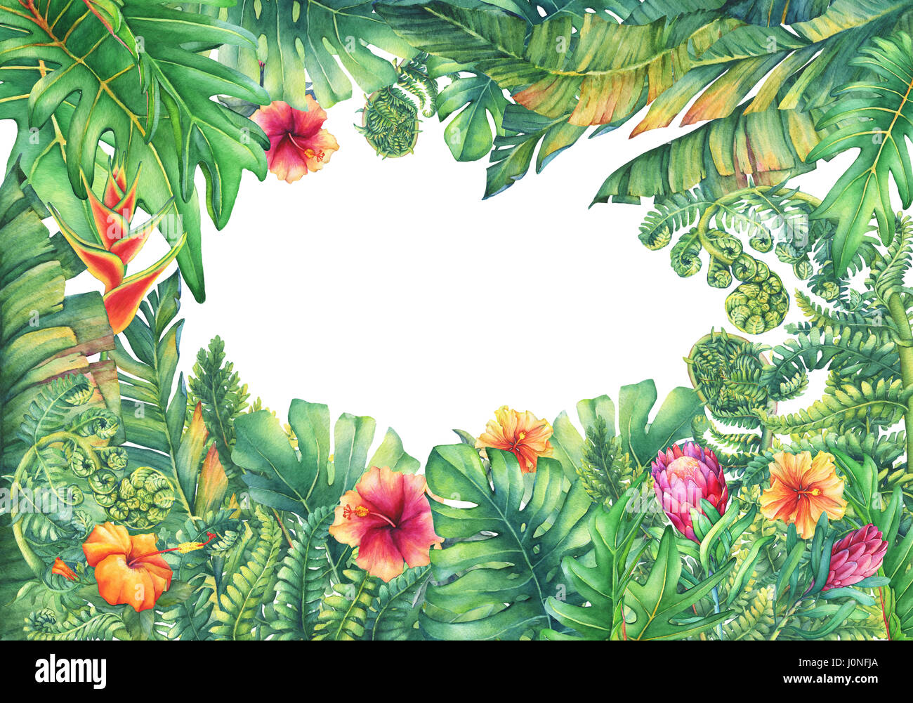 Quadratischer Rahmen mit Zweigen lila Protea Blumen, Hibiskus und tropischen Pflanzen. Handgezeichnetes Aquarell auf weißem Hintergrund. Stockfoto