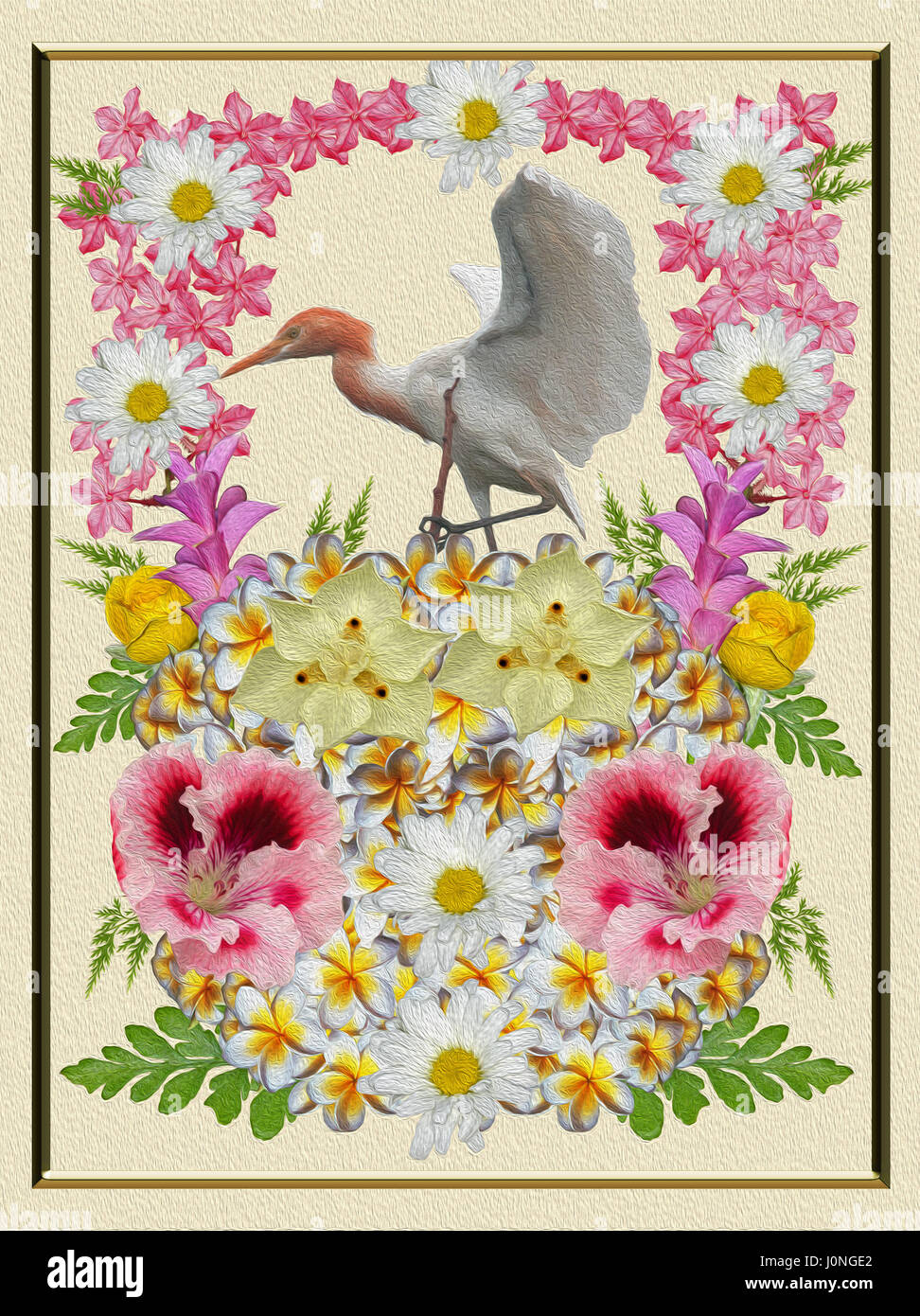 Atemberaubende & bunte Collage aus Bildern von Rosa, weißen & gelbe Blumen & grüne Farne mit Reiher thront unter Ihnen, cremefarbenen Hintergrund mit Goldrahmen Stockfoto