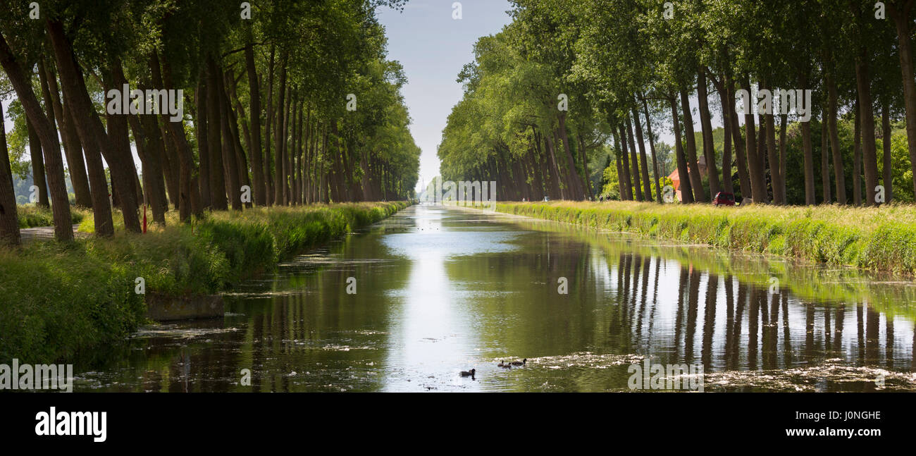 Malerische Allee von hohen Bäumen und Damse Vaart Grachten am Damme, Provinz Westflandern in Belgien Stockfoto