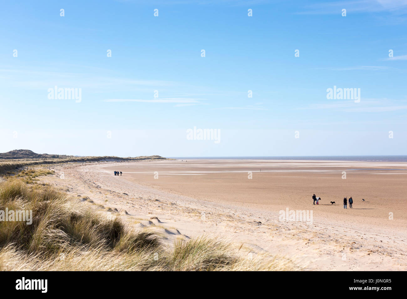 Strand-Szene Passanten Hunde am Holkham Beach, einen riesigen Sandstrand mit Dünen an der Küste von North Norfolk UK Stockfoto