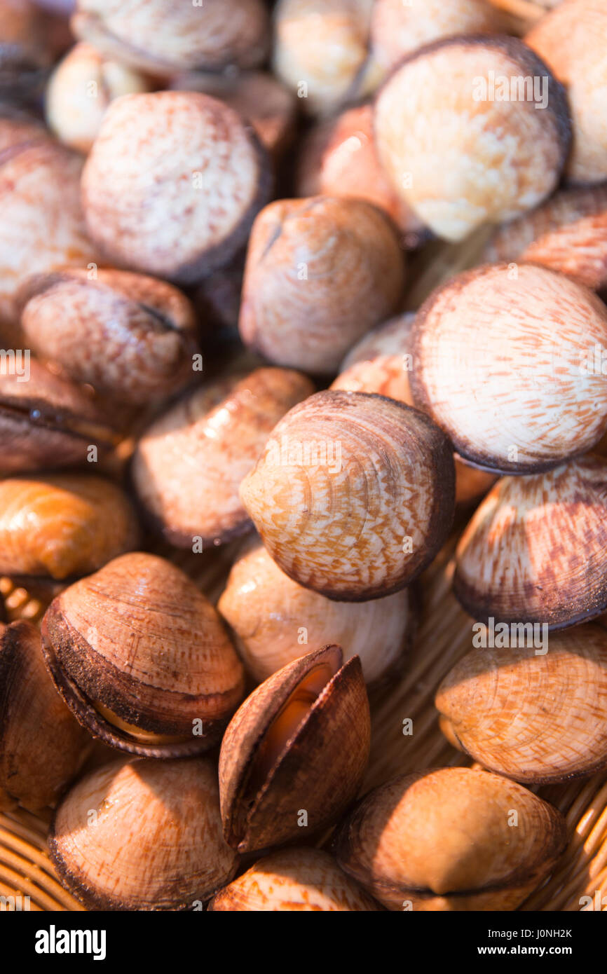 Rohe Herzmuscheln - Coques - marine Muscheln zum Verkauf an Straße Markt Bordeaux, Frankreich Stockfoto