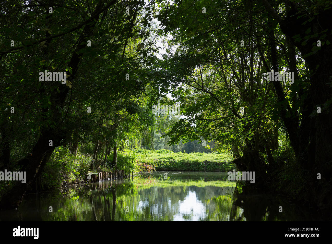 Der Marais Poitrevin Kanal und Marschland Region ein Grand Site de France Stockfoto