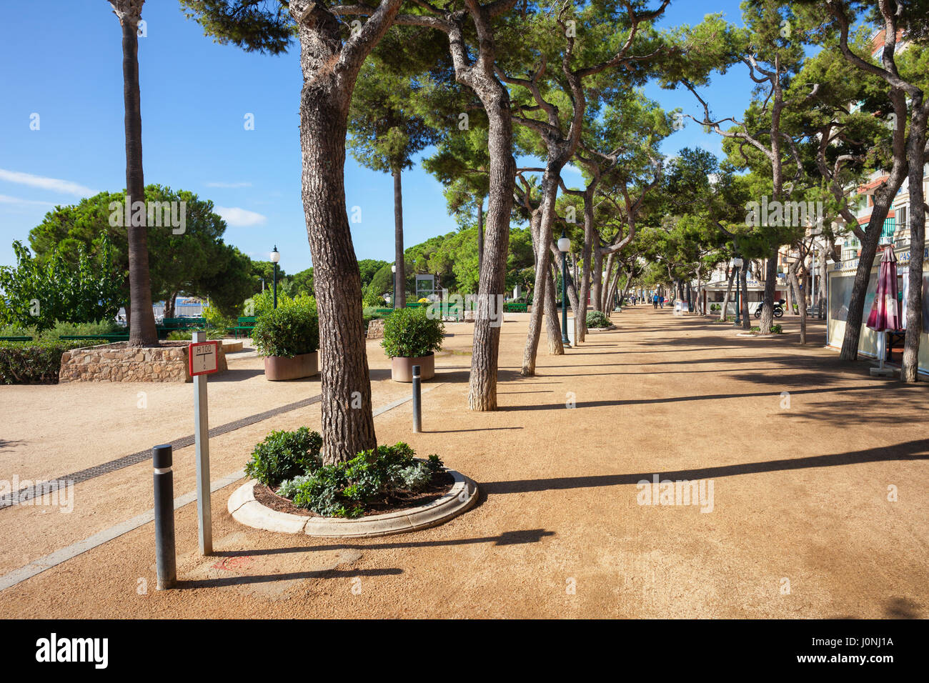Spanien, Katalonien, Blanes greifen Küstenstadt, von Bäumen gesäumten promenade Stockfoto