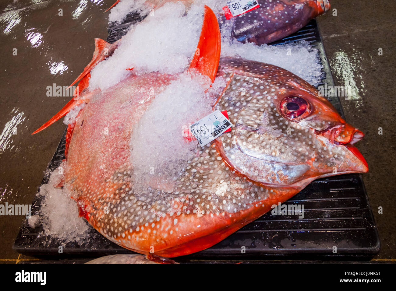 Moonfish bei Fischauktion, Lampris Guttatus, Hawaii, USA Stockfoto