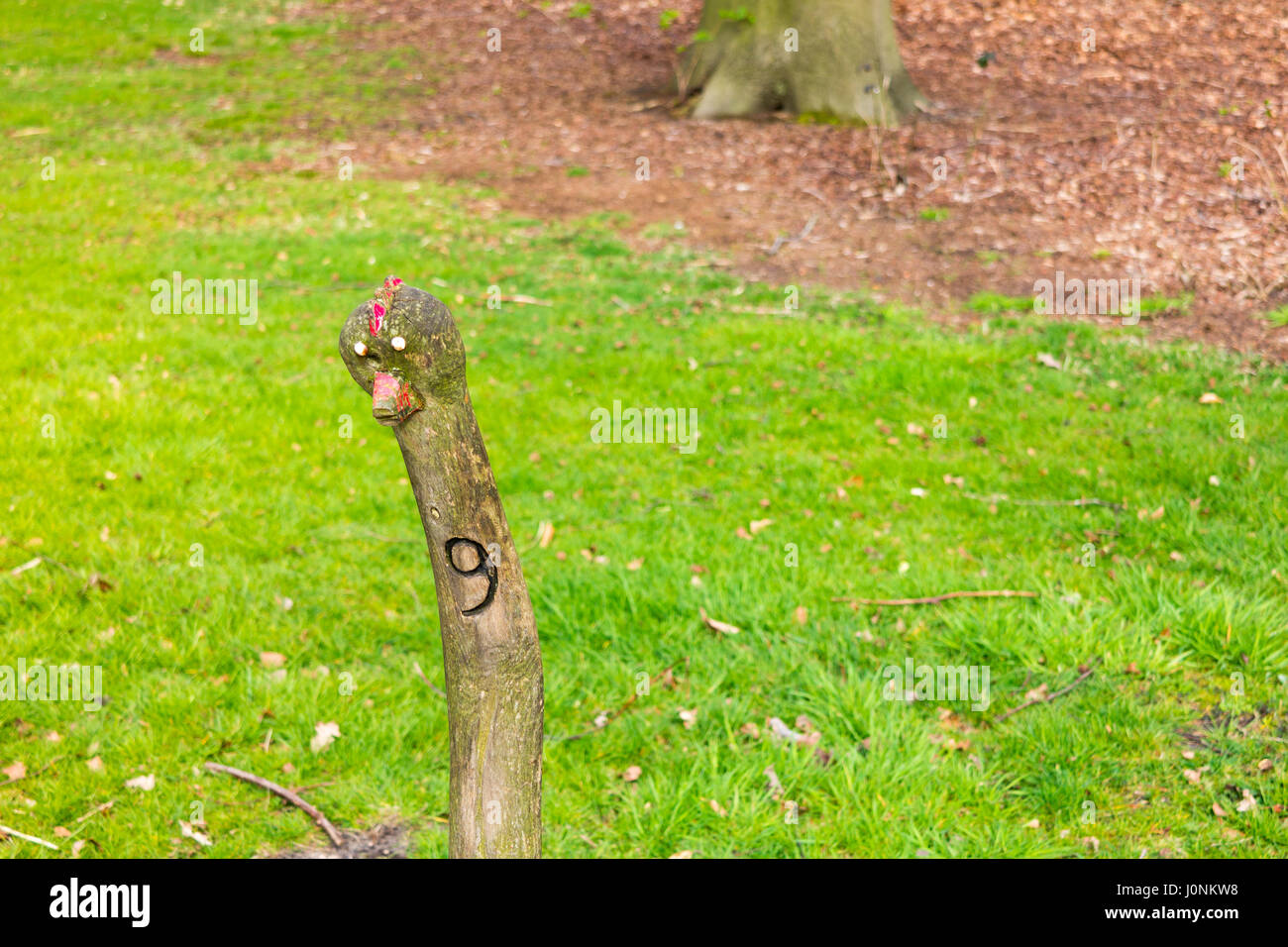 Lustige Holzstab mit Gesicht und Nummer 9 Markierung Wanderweg im Boekesteyn Park, ist Graveland, Niederlande Stockfoto