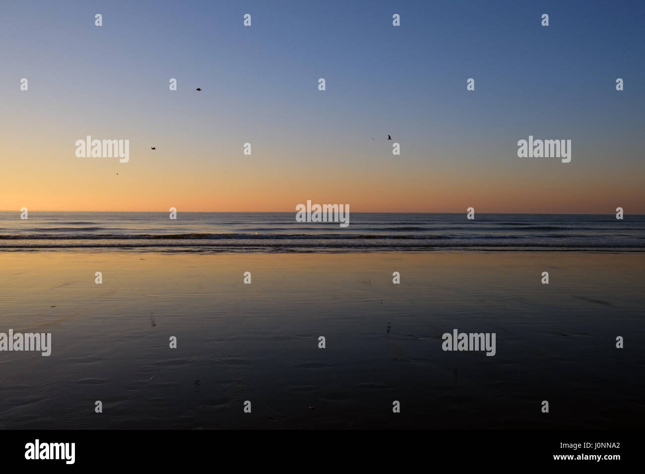 Wimereux Strand im Norden von Frankreich, kurz nach Sonnenuntergang mit drei Vögel in de Himmel Stockfoto