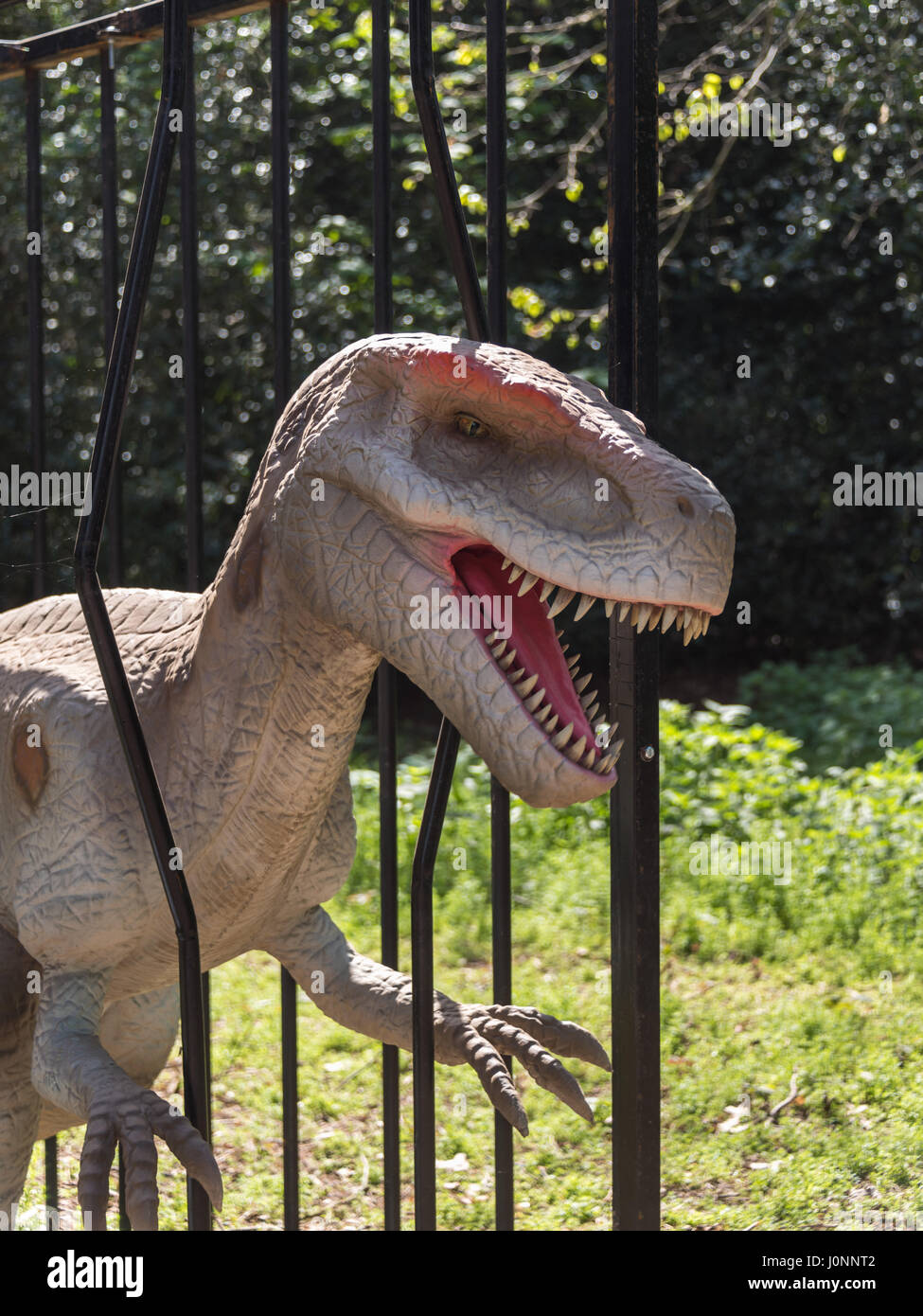 Deinonychus Raptors, Jurassic Königreich Osterley Park, London Stockfoto
