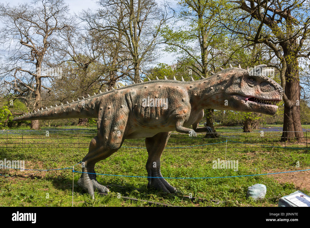 Carnotaurus, Jurassic Königreich Osterley Park, London Stockfoto