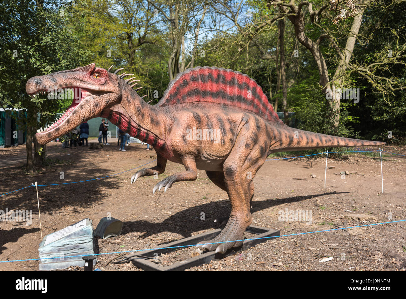 Spinosaurus, Jurassic Königreich Osterley Park, London Stockfoto