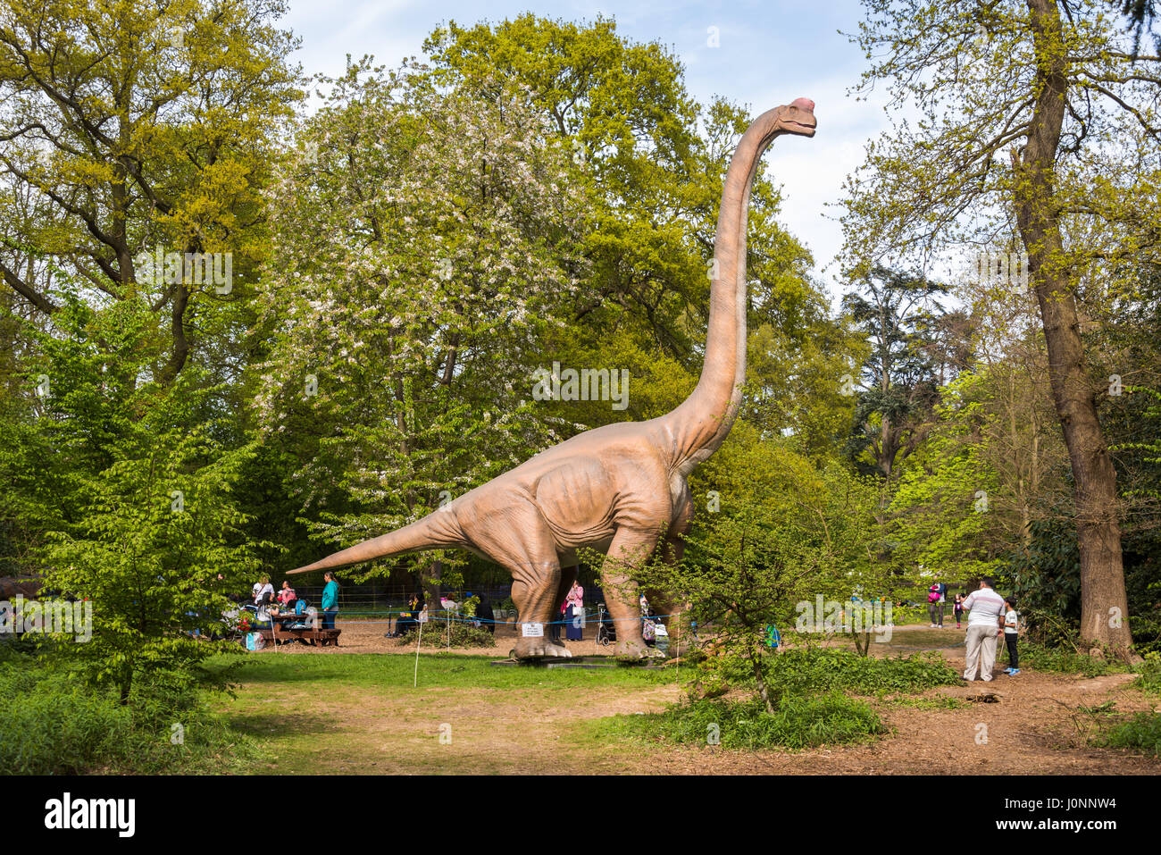 Brachiosaurus, Jurassic Königreich Osterley Park, London Stockfoto