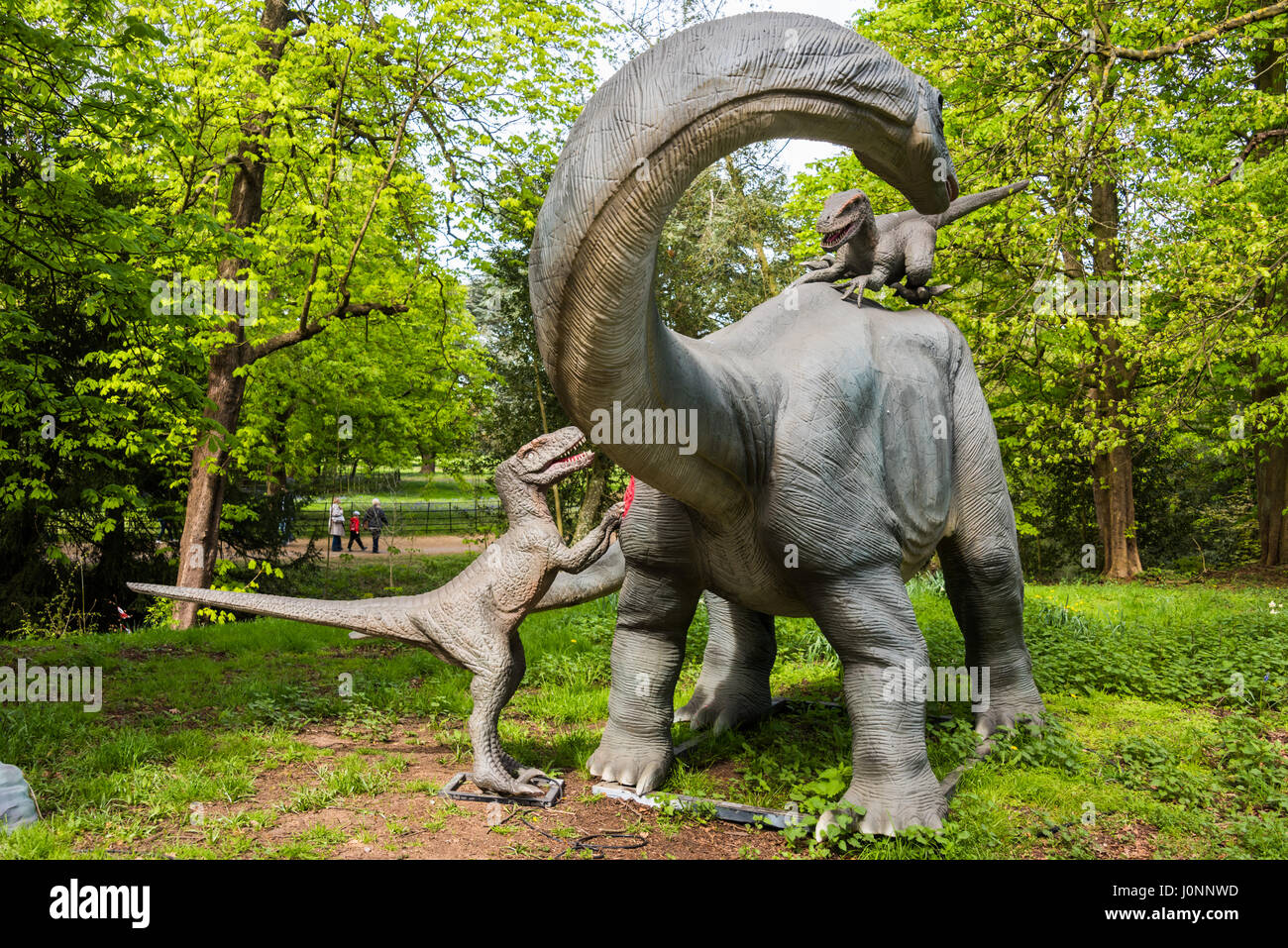 Apatosaurus & Deinonychus Raptors, Jurassic Königreich, Osterley Park, London Stockfoto