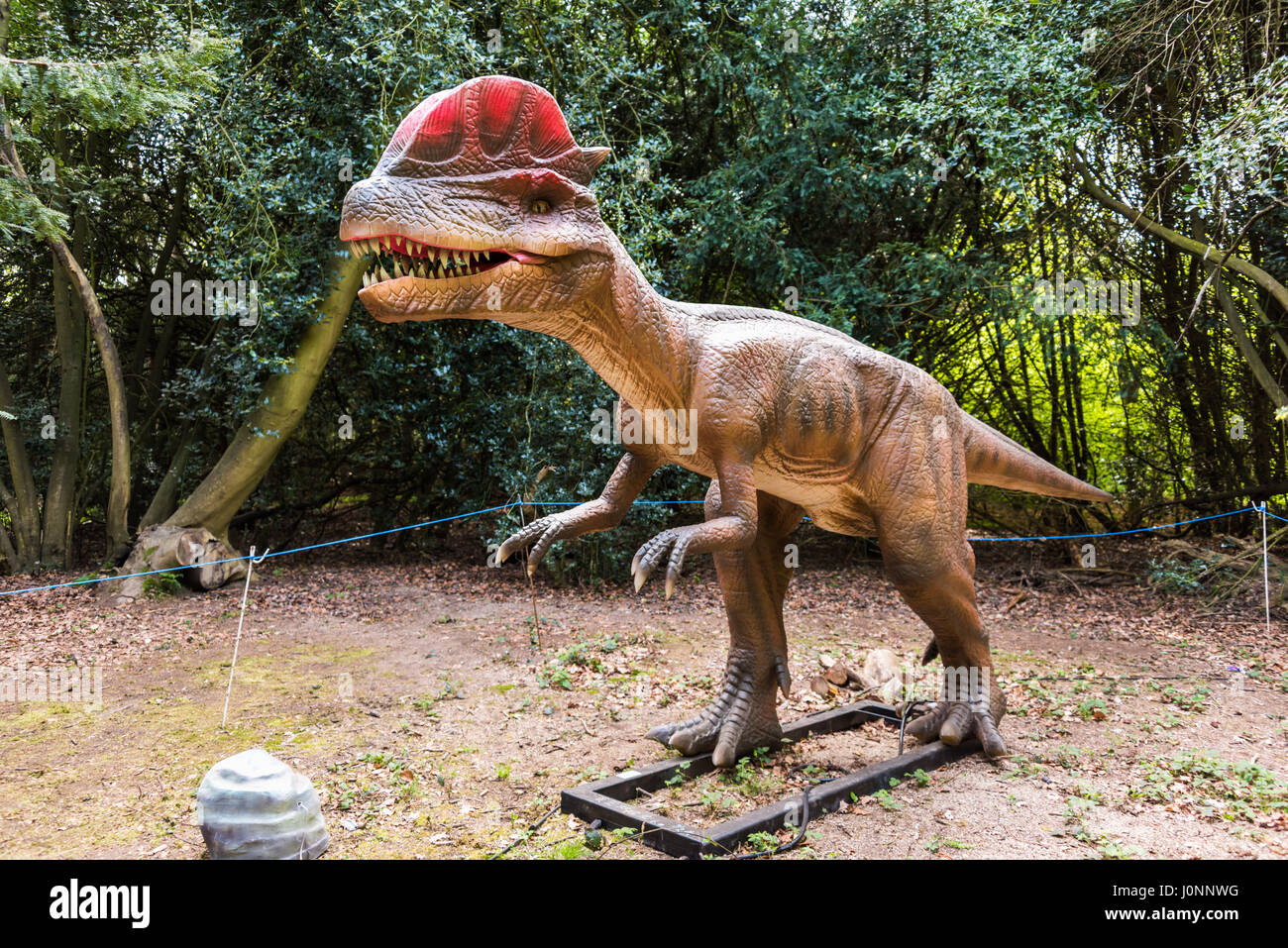 Dilophosaurus, Jurassic Königreich Osterley Park, London Stockfoto