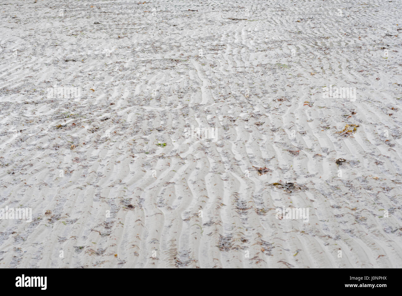 Vom Wasser gewellter seichter Sand an einem Strand (Mitte Cornwall). Fluvialkämme für Mars Look-alike und Stratigraphie Studie. Stockfoto