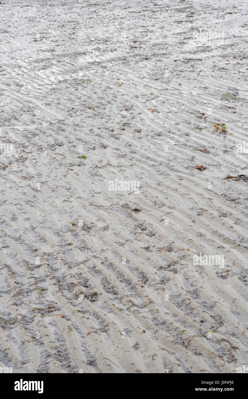 Wasser-gewellt flachen Sand am Strand (Mid Cornwall). Stockfoto