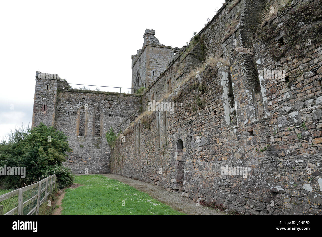 Dunbrody Abbey, ein ehemaliges Zisterzienserkloster in County Wexford, Irland (Eire). Stockfoto