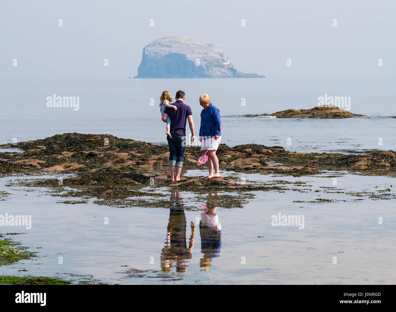 Familie Fels-Pools zu erkunden, am Strand von North Berwick mit Bass Rock in der Ferne, in East Lothian, Schottland, Vereinigtes Königreich. Stockfoto