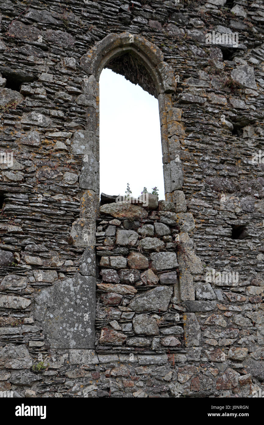 Fensterdetail in Dunbrody Abbey, ein ehemaliges Zisterzienserkloster in County Wexford, Irland (Eire) teilweise ausgefüllt. Stockfoto