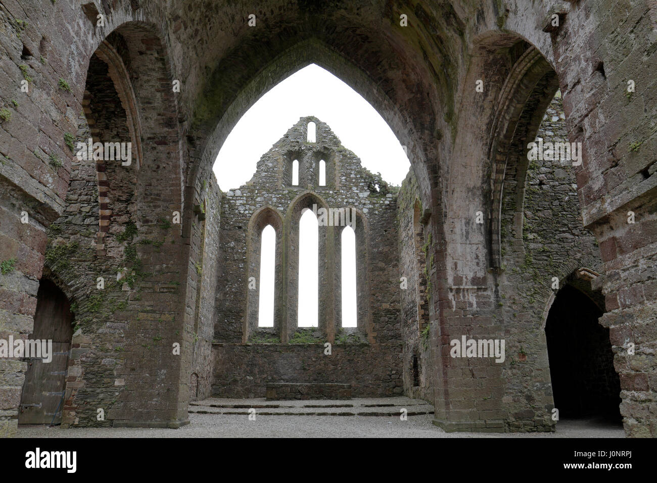 Dunbrody Abbey, ein ehemaliges Zisterzienserkloster in County Wexford, Irland (Eire). Stockfoto
