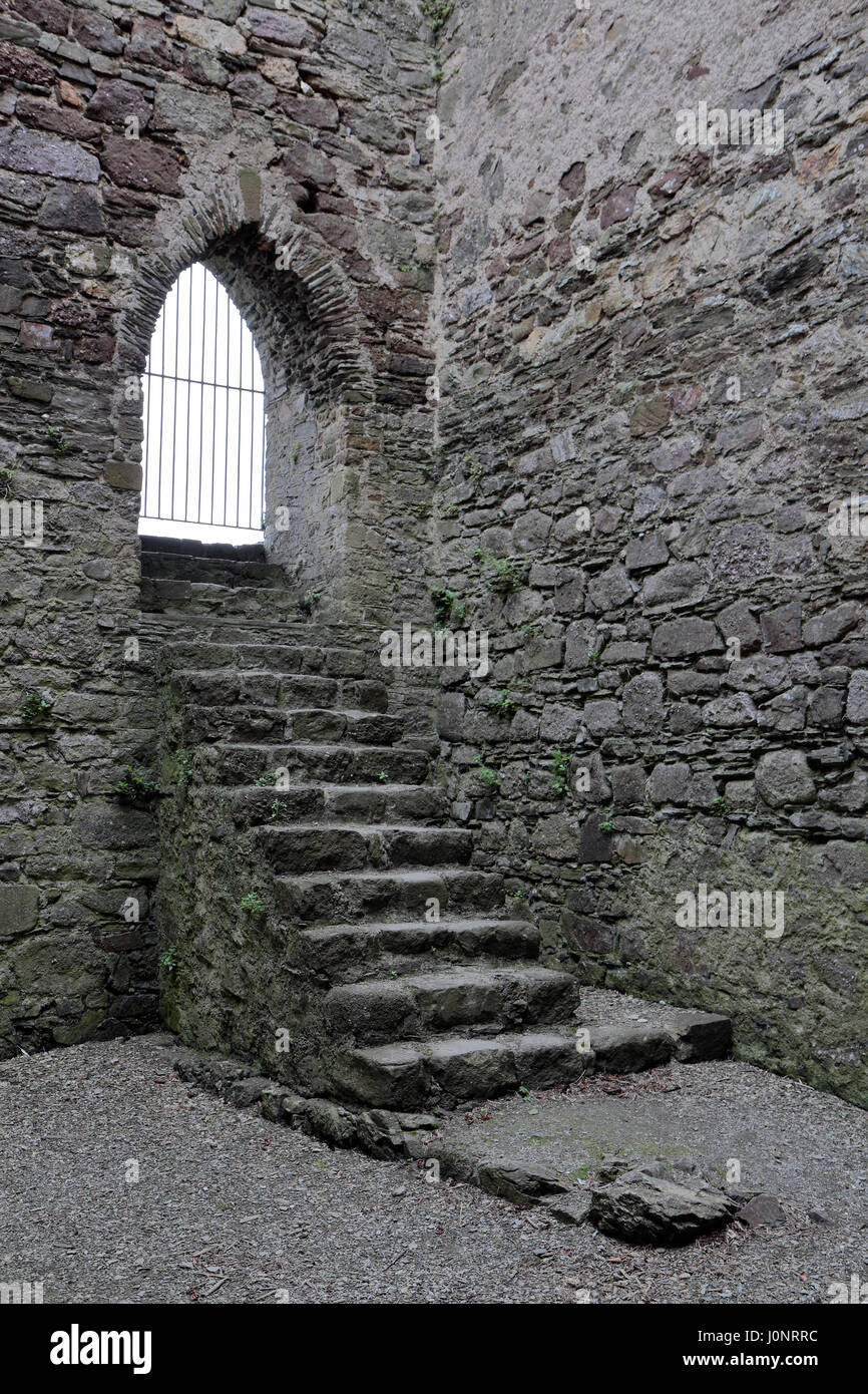 Eine Steintreppe in Dunbrody Abbey, ein ehemaliges Zisterzienserkloster in County Wexford, Irland (Eire). Stockfoto
