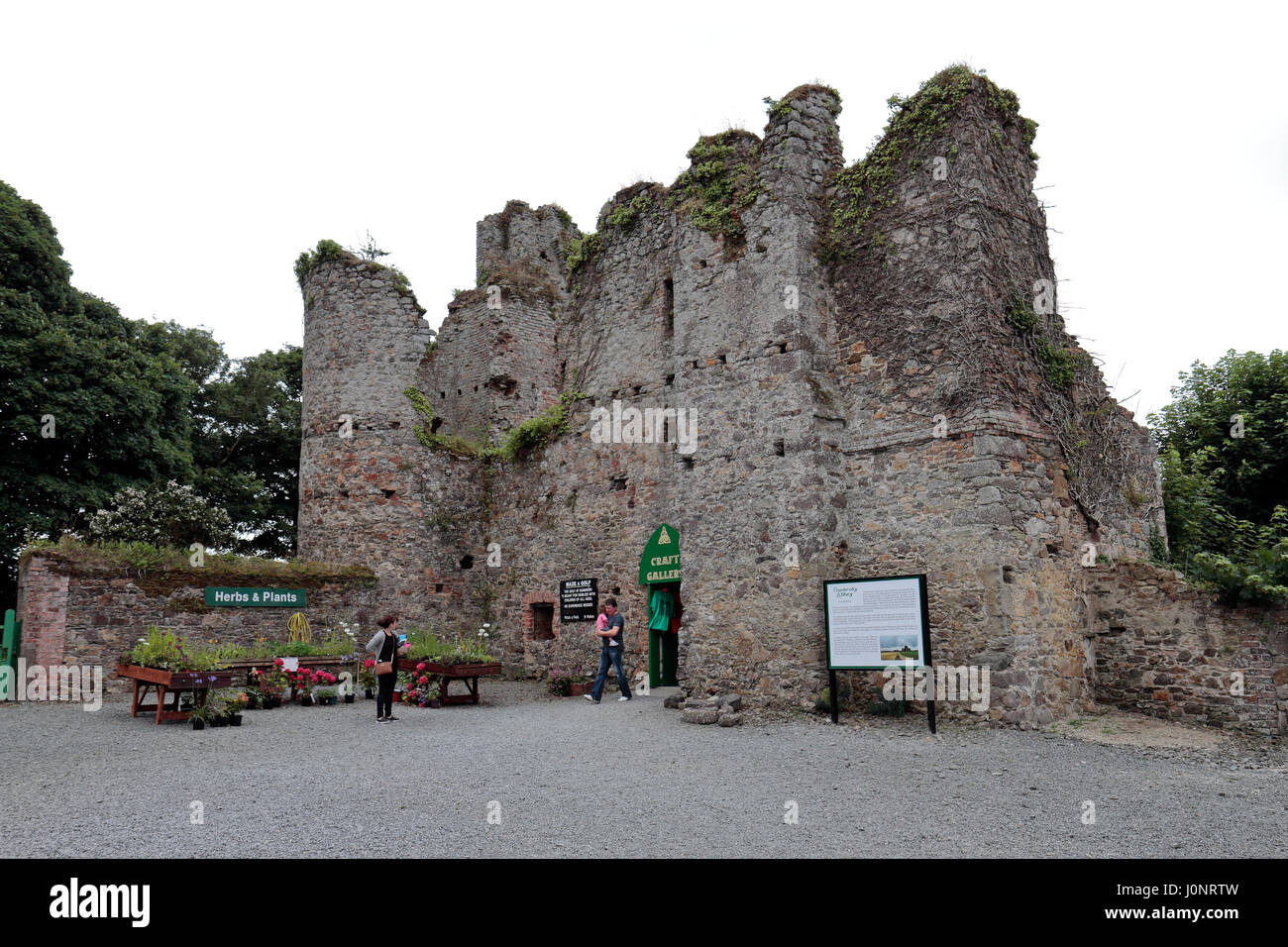 Dunbrody Abbey, ein ehemaliges Zisterzienserkloster in County Wexford, Irland (Eire). Stockfoto