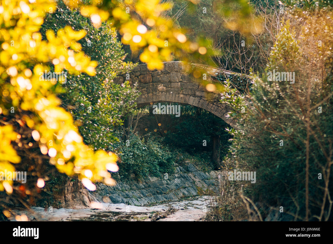 Steinerne Brücke in den Wald. Der Park Milocer in Montenegro. Stockfoto