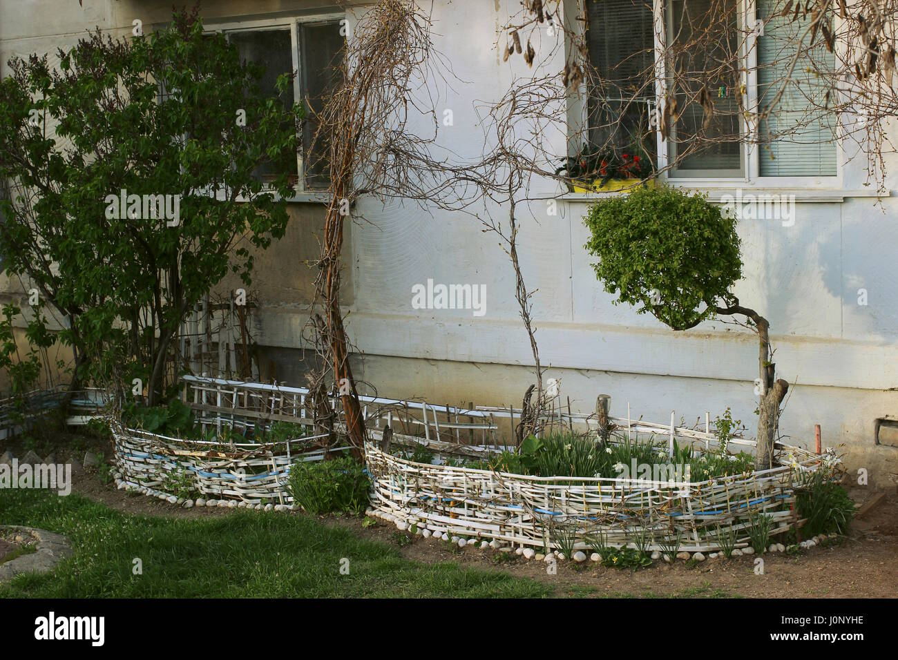 Ein kleiner Garten unter großen Hochhäuser. Stockfoto