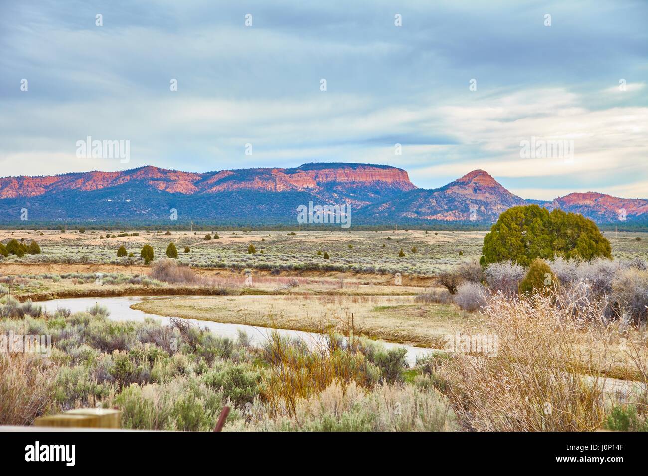 Unglaublich schöne Landschaft im Zion Nationalpark, Washington County, Utah, USA Stockfoto