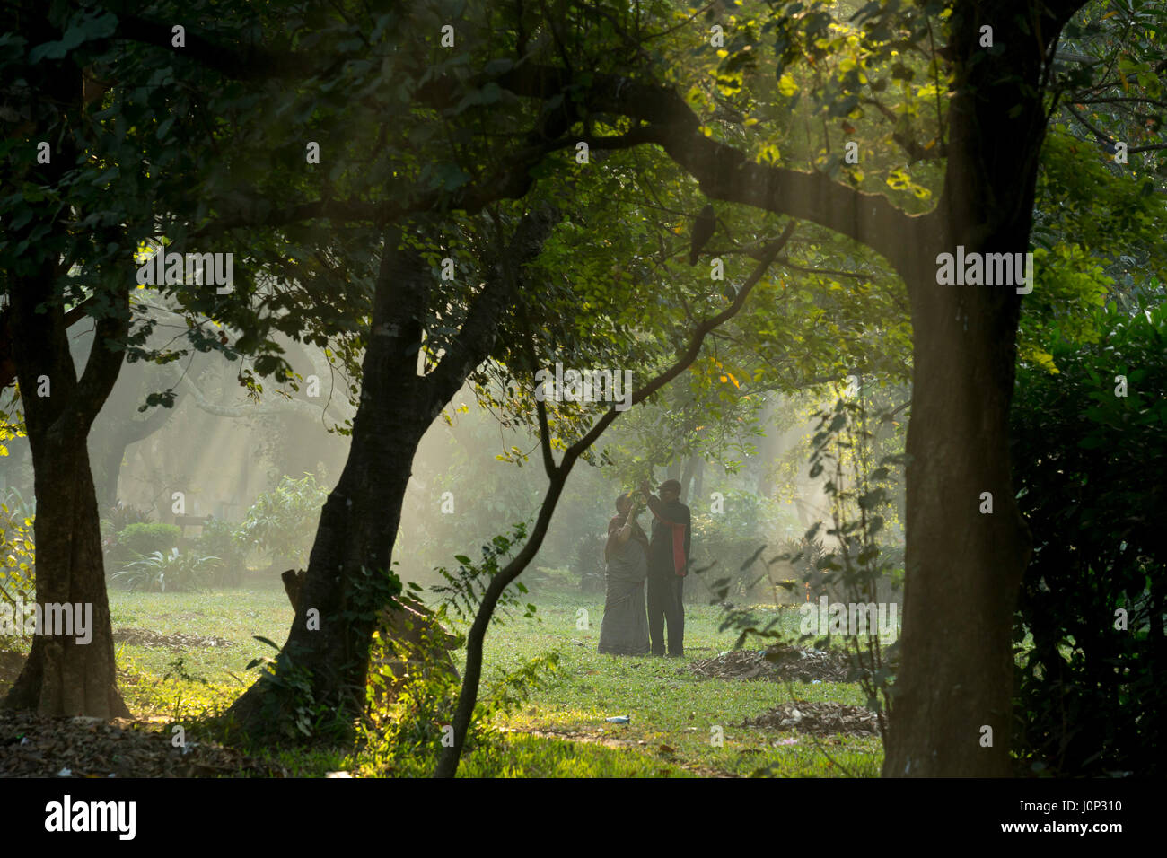 Ein paar in die winterliche Witterung im Ramna Park in Dhaka, Bangladesch Stockfoto