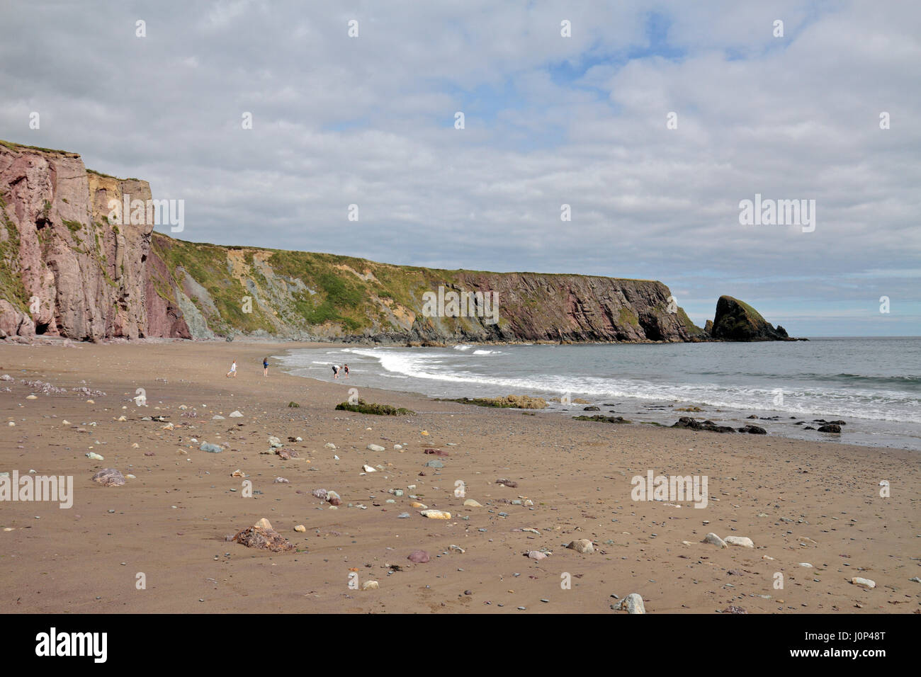 Die Ballydowane Bucht und Strand, Copper Coast, Co Waterford, Irland (Eire). Stockfoto