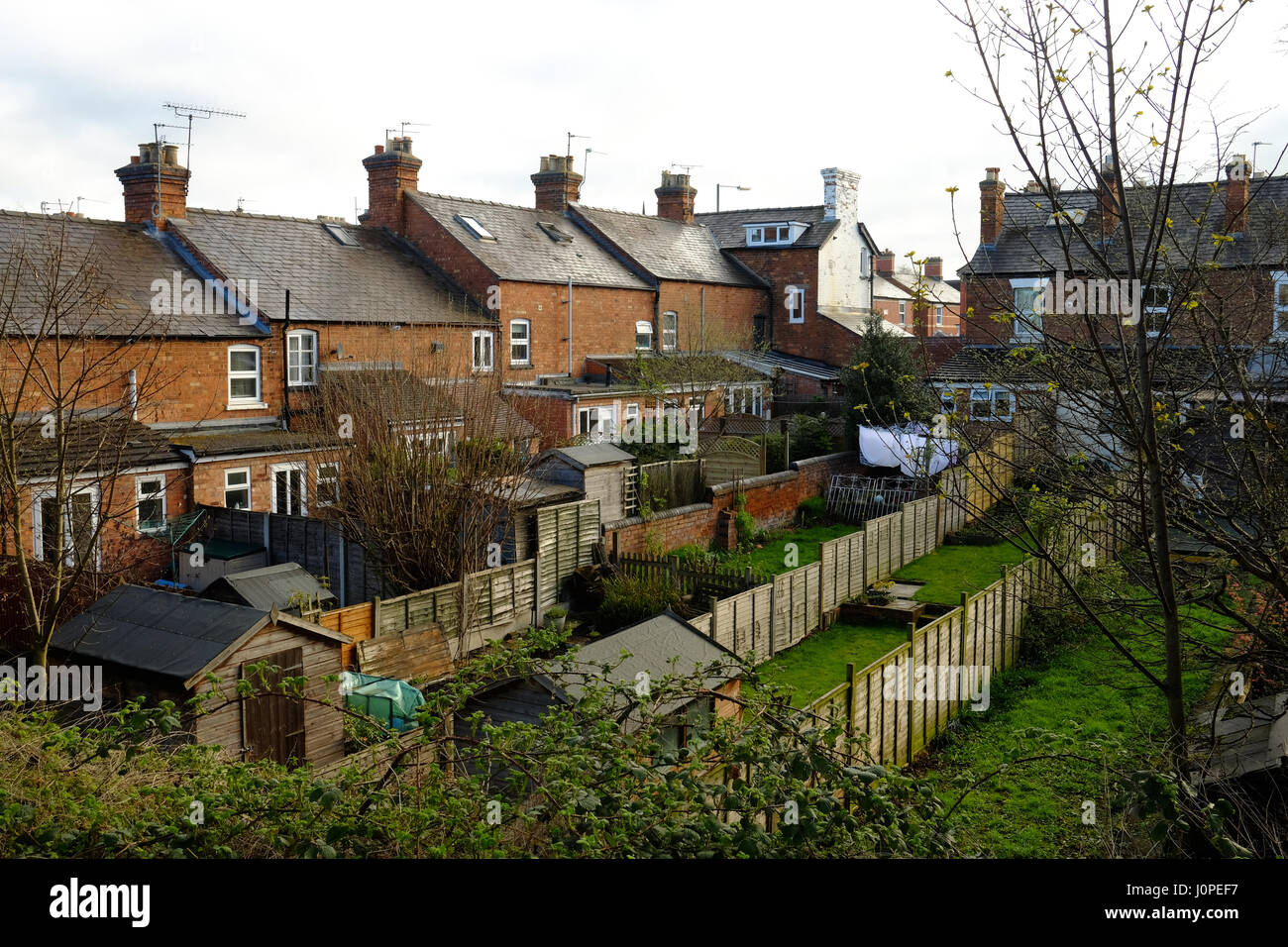 Hintere Gärten des viktorianischen Reihenhäusern in UK Stockfoto