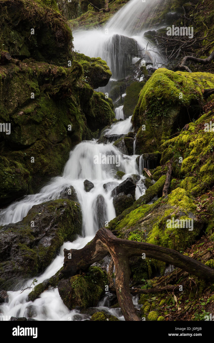 Ein Wasserfall nach unten kaskadieren Moos Felsen bedeckt. Stockfoto