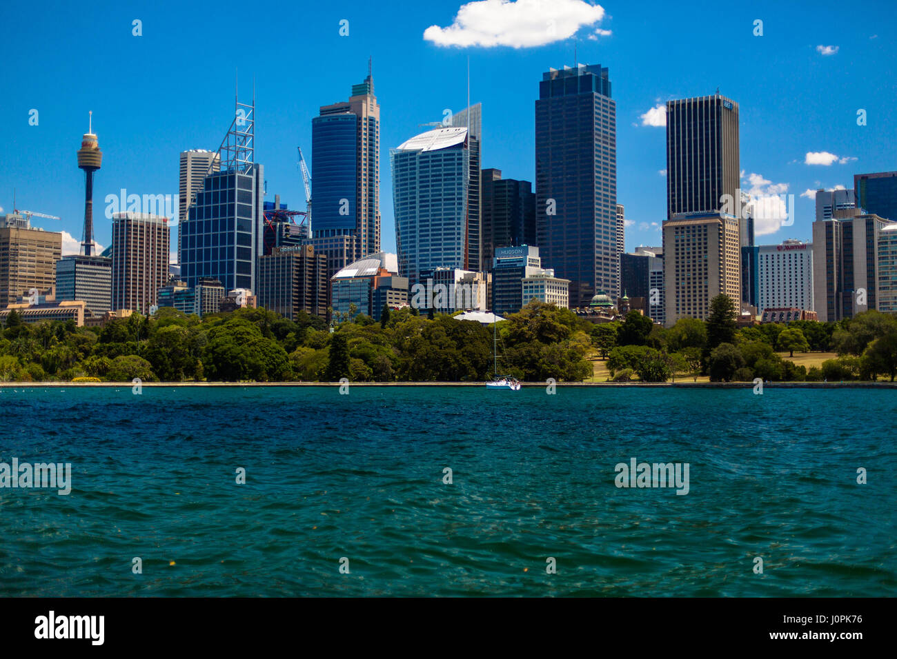 Die Sydney Skyline und Centrepoint Tower von Einsiedler Bay Stockfoto